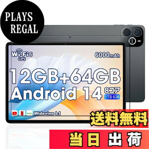 �y���������zKEY2 �t�B���� �F�F�����ł��A�T�C�Y�FLZ1-bh25�y1���zFor Wpawa HT10-A