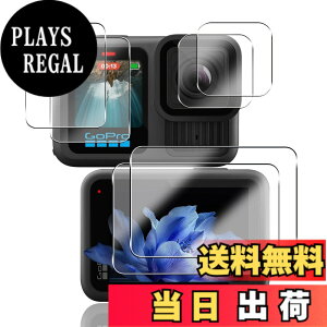 �y���������z�Ή� �K���X�t�B���� �ی�t�B���� ���E���h�G�b�W���H�Ȃ� �T�C�Y�F�Ή� GoPro HERO13 Black