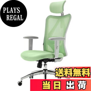 �y���������zSIHOO M57 ���b�V���I�t�B�X�`�F�A �n�C�o�b�N �l�ԍH�w�֎q S�����̔w������ 3D�A�[�����X�g �ʋC�� ���[�N�`�F�A ���b�L���O�@�\ �����o�[�T�|�[�g�����\ ���N���C�j���O ��