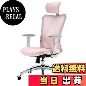 �y���������zSIHOO M57 ���b�V���I�t�B�X�`�F�A �n�C�o�b�N �l�ԍH�w�֎q S�����̔w������ 3D�A�[�����X�g �ʋC�� ���[�N�`�F�A ���b�L���O�@�\ �����o�[�T�|�[�g�����\ ���N���C�j���O ��