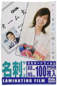 yzI[d@ 100~N~l[^[tB100 A3 LAM-FA31003 TCYFh