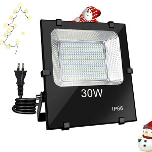 �y���������zDINGLILED LED������ ���O�Ɩ� �t���b�h���C�g IP66�h�� �J�Ή� ���P�x 6000k �F�F30W