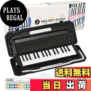 �y���������zKC �L���[���c ���Ճn�[���j�J �����f�B�s�A�m 32�� P3001-32K �F�F�u���b�N�A�T�C�Y�F1�� (x 1)