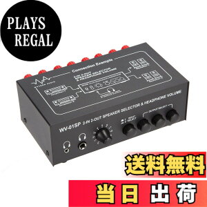 �y���������z�y�w�b�h�t�H���i6.3&3.5�j�Ή��z 2in �� 2out �X�s�[�J�[ �A���v �Z���N�^�[/�X�C�b�`���[ �C���z���{�����[���@�\�t ���o�i�i�v���O���^�[�~�i���^�C�v �yWV-01SP�z