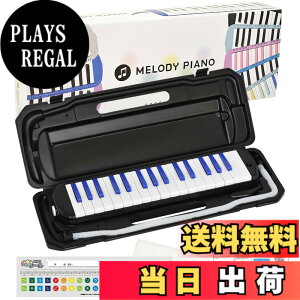 �y���������zKC �L���[���c ���Ճn�[���j�J �����f�B�s�A�m 32�� P3001-32K �F�F�u���b�N/�u���[�A�T�C�Y�F1�� (x 1)