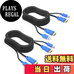 �y���������zMT-VIKI USB HDMI KVM�P�[�u�� 2�{�p�b�N 10�t�B�[�g 4K HDMI USB A - HDMI USB B �c�C���R�[�h �W��KVM�X�C�b�`�p 10�t�B�[�g �F�F�u���b�N&�u���[�A�T�C�Y�F10ft