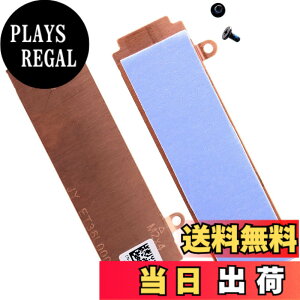 �y���������zDeal4GO �X���b�g2/�X���b�g1 M.2 2280 SSD �q�[�g�V���N�J�o�[ �T�[�}���p�b�h 29GT8 26X1Y 026X1Y Dell G15 5510 5511 5515 Alienware M15 R5 M15 R6�p �F�FM.2 2280�q�[�g�V���N�T�[�}���B