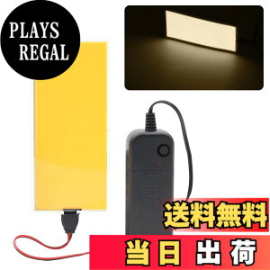 �y���������zX-STYLE �L�@EL�p�l�� EL�Ɩ��p�l�� 3���[�h 3V 120mmx50mm DIY �J�b�g�\ ����o�b�N���C�g �B�e�p �d�r�P�[�X�t�� 1�Z�b�g �F�F�C�G���[�A�T�C�Y�F12x5cm