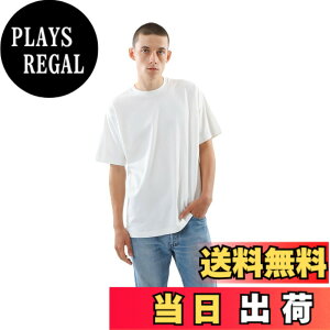 �y���������zHanes T�V���c ���� SHIRO ��100% �ۓ��d�l �^�O���X�d�l �w�C���YT�V���c���N���[�l�b�NT�V���c �A���_�[�E�F�A�����Y�A���_�[�E�F�A ���� ��100�� �ۓ��d�l �^�O���X�d�l 1P Hanes T-SH