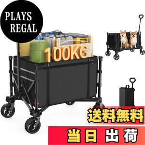 �y���������zRaynesys �L�����[���S�� �A�E�g�h�A���S�� �ω׏d100kg ��e��120L �L�����v�J�[�g �����^�b�`���� �܂��ݎ� �������[ �É� �L�����v/���l/�ނ�/���z��/������/�S�~�o�� ���[�J�o