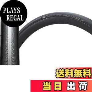�y���������zIRC�i�A�C�A�[���V�[�j 700x28C ASPITE PRO SPEED EDGE �F�F�u���b�N�A�T�C�Y�F700