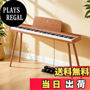 �y���������zTERENCE �d�q�s�A�m 88�� �J�E���^�[�E�F�C�g���� �ؐ� P10 �F�F�ؐF