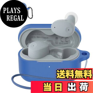 �y���������zSOUNDPEATS GoFree2 �P�[�X �F�F�u���[(final ZE300)�A�T�C�Y�Ffinal (�t�@�C�i��) ZE300 �ی�J�o�[