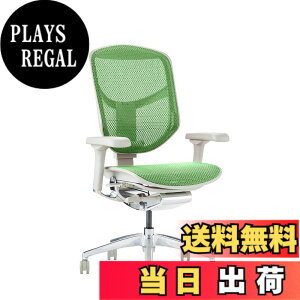 �y���������z�G���S�q���[�}��2(ergohuman2) �I�t�B�X�`�F�A ENJOY �G���W���C �F�F���b�V��:�O���[�� / �t���[��:�O���[�A�T�C�Y�F���[�^�C�v