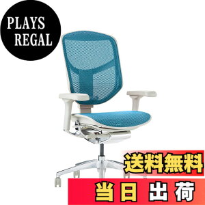 �y���������z�G���S�q���[�}��2(ergohuman2) �I�t�B�X�`�F�A ENJOY �G���W���C �F�F���b�V��:�O���[ / �t���[��:�O���[�A�T�C�Y�F���[�^�C�v