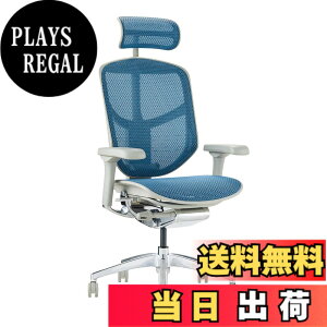 �y���������z�G���S�q���[�}��2(ergohuman2) �I�t�B�X�`�F�A ENJOY �G���W���C �F�F���b�V��:�u���[ / �t���[��:�O���[�A�T�C�Y�F�n�C�^�C�v