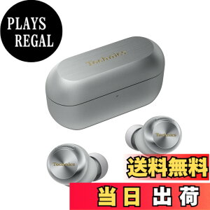 �y���������z�e�N�j�N�X ���C�����X�C���z�� AZ100 �F�F�V���o�[