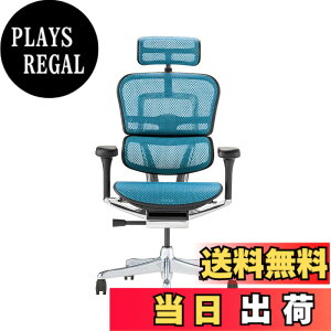 �y���������z�G���S�q���[�}��2(Ergohuman2) �I�t�B�X�`�F�A �F�F�t���[��:BLACK / ���b�V��:BLUE�A�T�C�Y�F�n�C�^�C�v