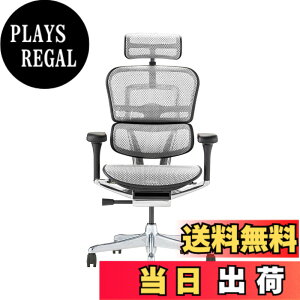 �y���������z�G���S�q���[�}��2(Ergohuman2) �I�t�B�X�`�F�A �F�F�t���[��:BLACK / ���b�V��:WHITE�A�T�C�Y�F�n�C�^�C�v