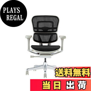 �y���������z�G���S�q���[�}��2(Ergohuman2) �I�t�B�X�`�F�A �F�F�t���[��:GRAY / ���b�V��:BLACK�A�T�C�Y�F���[�^�C�v