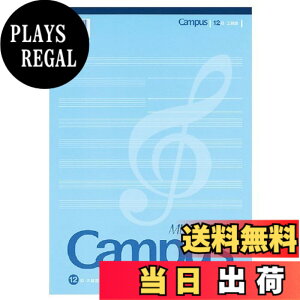 �y���������z�R�N�� ���y�� ���|�[�g�^�C�v A4 5����12�i �Жʈ�� 30�� �T�C�Y�F5��