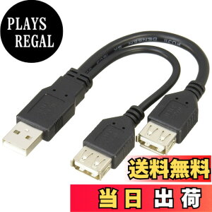 �y���������z�ϊ����l �f�[�^�]��+�[�d�Ə[�d�݂̂��g������������(Y��)USB�P�[�u�� [ USB A�E�I�X - USB A�E���X(x2) ] [ ��15cm x 2 ] USBA/2 �T�C�Y�F��15cm x 2