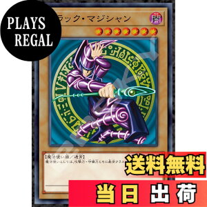 �y���������z�G���X�J�C(ENSKY) �W�O�\�[�p�Y���V���[�Y JIGSAW PUZZLE �V���Y�����f���G�������X�^�[�Y 51x73.5cm �W�O�\�[�p�Y�� 1000�s�[�X JIGSAW PUZZLE �F�F�u���b�N�E�}�W�V����