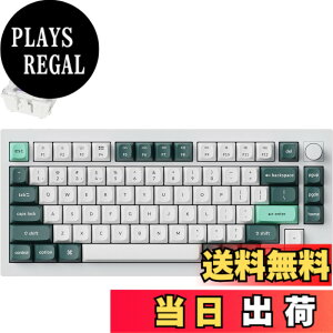 �y���������z�y�������K�i�zKeychron Q1 HE QMK���C�����X�E�J�X�^���L�[�{�[�h�A�z�[������Gateron�_�u�����[���}�O�l�b�g�X�C�b�`�A���s�b�h�g���K�[�A2.4 GHz/Bluetooth/�L���ڑ��ARGB���C�g�A�z�b