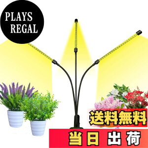 �y���������zbseah�����A���p�������C�g�A�S���X�y�N�g��LED�������C�g �F�F�u���b�N�A�T�C�Y�F�O�[1pcs