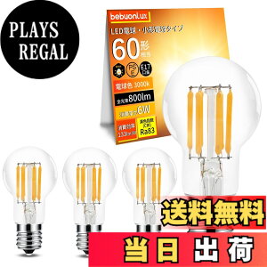 �y���������z�t�B�������g�d�� �~�j�N���v�g���d�� LED�d�� �d���F �S�����^�C�v �N���A�d�� �ȃG�l �F�F�d���F�A�T�C�Y�FE17-800lm-4��