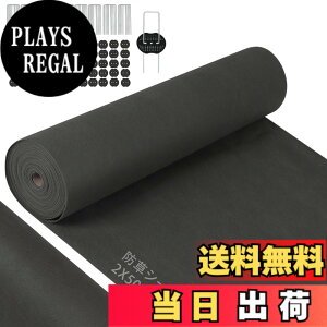 �y���������z�y���ǔŁz�h���V�[�g �����V�[�g 2mx50m �ڂ������V�[�g ������ ���ϋv �����x U�s���Y100�{�ƍ���100���t�� ���� �ϗp�N����5�N �G���h�~ �H���p ���|�p �l�H�ŉ� �F�F�u���b�N�A
