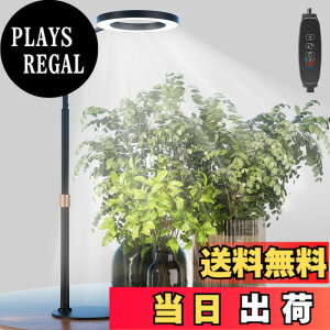 �y���������zbseah�����A���p�������C�g�A�S���X�y�N�g��LED�������C�g �F�F�u���b�N�A�T�C�Y�F��^-��