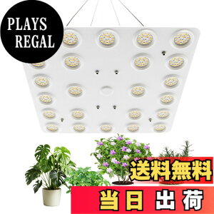 �y���������zbseah�����A���������A�S�X�y�N�g�������������A3��ނ̃��[�h��10���̒��� �T�C�Y�F�ʎq��100W