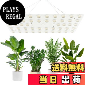 �y���������zbseah�����A���������A�S�X�y�N�g�������������A3��ނ̃��[�h��10���̒��� �T�C�Y�F�ʎq��240W