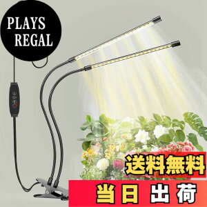 �y���������zbseah�����A���������A�S�X�y�N�g�������������A3��ނ̃��[�h��10���̒��� �T�C�Y�F���[1pcs