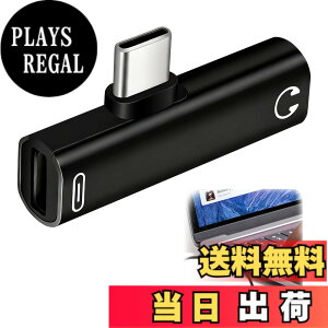 �y���������z�C���z�� �^�C�vC �ϊ� 3.5mm �ϊ� �^�C�vC �u���b�N 2in1 PD100W�}���[�d & Hi-Fi DAC���� 3.5mm�C���z���W���b�N �R���p�N�g �ʘb/���y/���ʒ��ߑΉ� Android/TypeC�[�q �ϊ��A�_�v�^