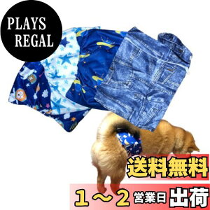yzyuaseiharu }i[xg  IX 3_+h|[`Zbg  R炵΍ TCY\ }[LOh~ hH ނ j̎q p i/ FFA@̑ATCY