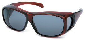 yzR[}(Coleman) Kl̏ォ炩ΌTOX I[o[OX FFNACATCYFM