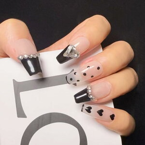 yz2IM Studio lC`bv 10 Eldグ a~j}fUC iVv hbg { n[g X^[ ԉ΃`[t T tHgEFfBO  l 