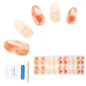 【送料無料】BIBIIジェルネイルシール 硬化タイプ ネイルシール ジェル フレンチネイルシール 爽やか透け感 長持ち 防水ジェルネイル 貼るだけ 手用 gelnailsセット ネイル 可愛い 金箔 ネイル