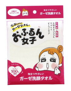 yzc^I ^I {fB^I ӂ񏗎q A₳ K[[ FFCG[ATCYF25×25cm