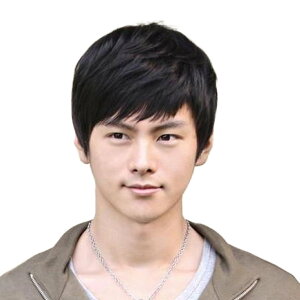 yz[Dreambeauty] YEBbO jp tEBbO V[g Xg[g 100%l Albg ×pEBbO Y  F R ʋC t[TCY ZS004 FF