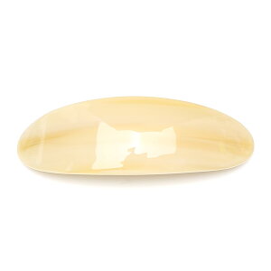 yzQinGoo  ob^ wANbv wAANZT[ 8.5cm   ؍ 1{ FFCream