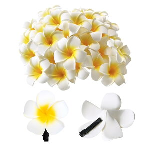 yz30 wAs ԔNbv vA  wAANZT[ vA   ʐ^BeDIYpi   FFCG[ATCYF4Z`[g̃N