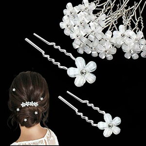 yzBetterJonny p[  40 Us wAs  CXg[ p[̃wAANZT[ p[s a ԉ Ǝ w  l p[  FF40 pcs/1f