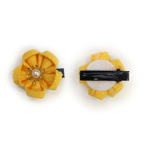 yza ߂  wANbv 2 3cm  ܂ݍ׍H  a a    ANZT[  ~j 炫ՂՂ FFCG[