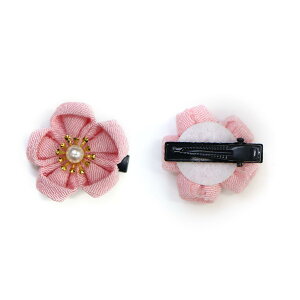 yza ߂  wANbv 2 3cm  ܂ݍ׍H  a a    ANZT[  ~j 炫ՂՂ FFy[sN