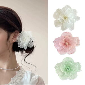 yzwANbv 傫 Ƃ܂ 2ZbgAwAANZT[AlAwALb`AA߃Nbv (3F̃t[Nbv) FF3F̃t[Nb