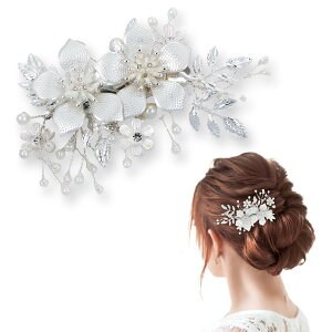 yz[micoi] wAANZT[ 񂴂   wANbv p[  ^   w  hX a m   FFVo[