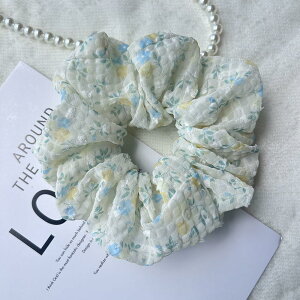 yzMasvan VV  l  VV 傫 ԕ {[ S 5F wAS  wAANZT[ FFCG[